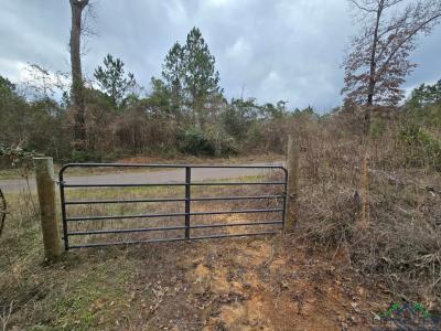 000 County Road 1634, Linden, تكساس 75563, الولايات المتحدة