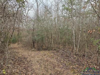 000 County Road 1634, Linden, تكساس 75563, الولايات المتحدة