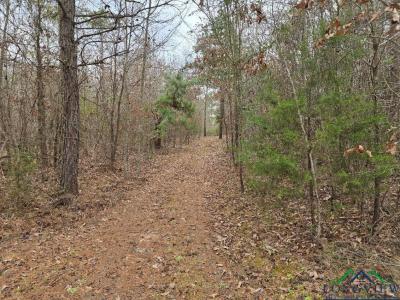 000 County Road 1634, Linden, تكساس 75563, الولايات المتحدة