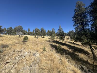 109 Guenevere Ave, Ruidoso, Nouveau-Mexique 88345, États-Unis
