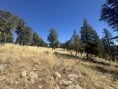 109 Guenevere Ave, Ruidoso, New Mexico 88345