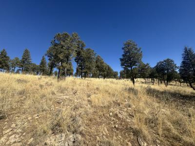 109 Guenevere Ave, Ruidoso, New Mexico 88345