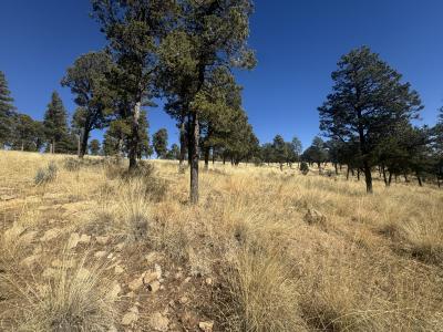 109 Guenevere Ave, Ruidoso, New Mexico 88345