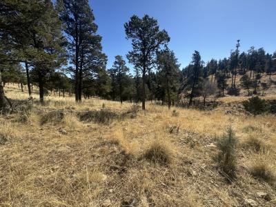 109 Guenevere Ave, Ruidoso, New Mexico 88345