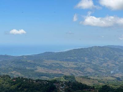 Dominical Bahía Ballena Osa, プンタレナス 60504, コスタリカ