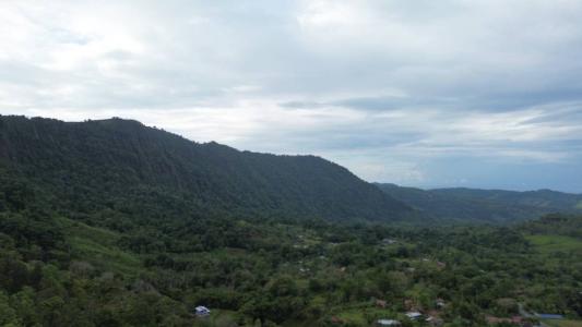 Dominical Bahía Ballena Osa, Puntarenas 60504, 코스타리카