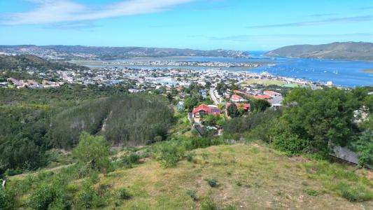 Knysna, Western Cape, Nam Mỹ