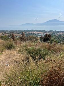 Centurión 7,, Jocotepec, Jalisco 45800, Mexico