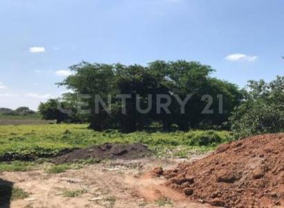 Rafael B Pavon s/n,, Panuco, Veracruz 93996, Mexico