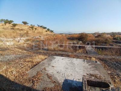 Parcela ,, Xochitepec, Morelos 62790, Mexico