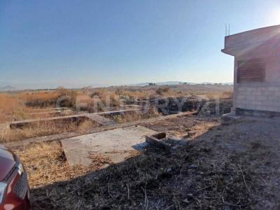 Parcela ,, Xochitepec, Morelos 62790, Mexico