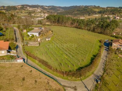 Penafiel, Porto 4560-055, Portugal