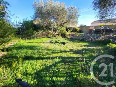 Frontignan, Languedoc-Roussillon 34110, Francia