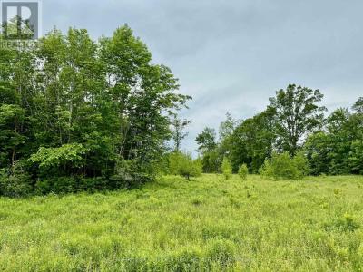 00 COOPER ROAD, Madoc, Ontario K0K 2K0, Canada