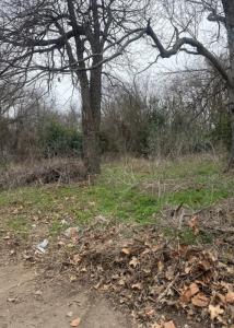 221 S. Price St, Hamilton, Texas 76531, USA