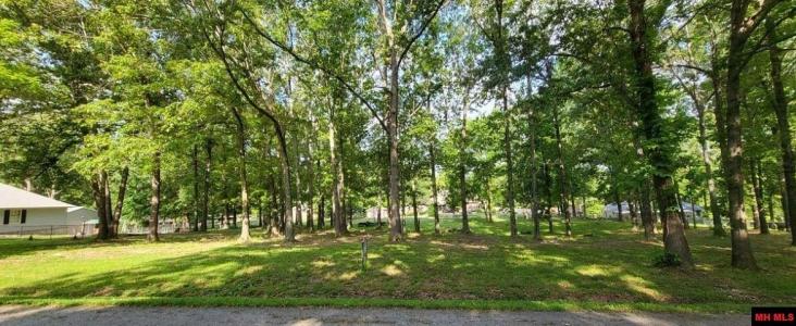 Lot 46 ASPEN DRIVE, Mountain Home, Arkansas 72653, HOA KỲ