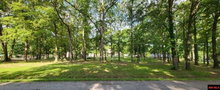 Lot 46 ASPEN DRIVE, Mountain Home, Arkansas 72653, Estados Unidos