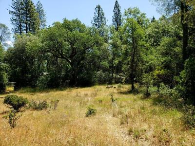 13903 Ingersoll Drive, Dobbins, California 95935, Stati Uniti