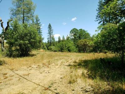 13903 Ingersoll Drive, Dobbins, California 95935, Stati Uniti