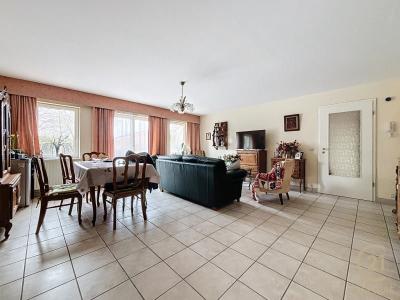Rue des Martyrs De Soltau 6/11, Soignies, 7060, Bélgica