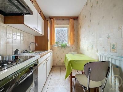 Rue des Martyrs De Soltau 6/11, Soignies, 7060, Bélgica