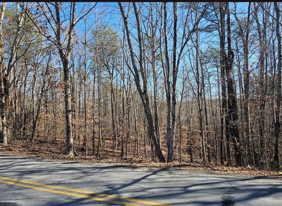 Tract 4-B Red Oak Road, Martinsville, Virginia 24112, HOA KỲ