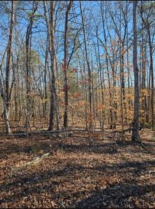 Tract 4-B Red Oak Road, Martinsville, Virginia 24112, HOA KỲ