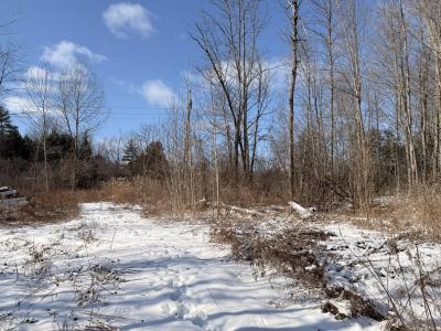 Soper Street, Morrisonville, New York 12962