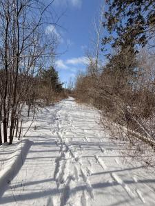 Soper Street, Morrisonville, New York 12962