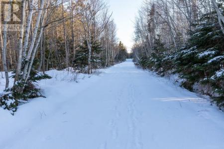 LOT 19 SWALLOW POINT ROAD, Goose River, プリンスエドワード島 C0A 2A0, カナダ