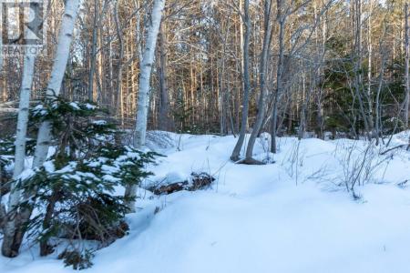 LOT 19 SWALLOW POINT ROAD, Goose River, プリンスエドワード島 C0A 2A0, カナダ