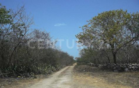 TABLAJE 5972 5972,, Chicxulub Pueblo, Yucatan 97340, Mexique