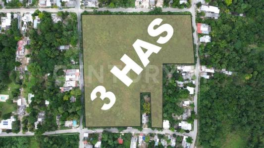 Motul, Yucatan 97430, Mexique