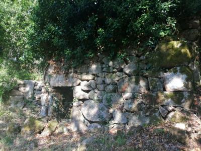 Cinfães, 維塞島 4690-711, 葡萄牙
