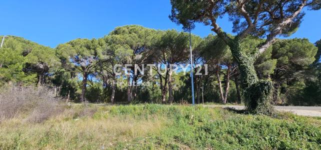 sv. leopolda mandića, Biograd Na Moru, Zadarska Županija 23210, 크로아티아