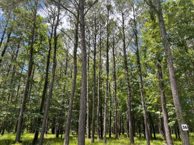 208 Madison Avenue, Oriental, North Carolina 28571