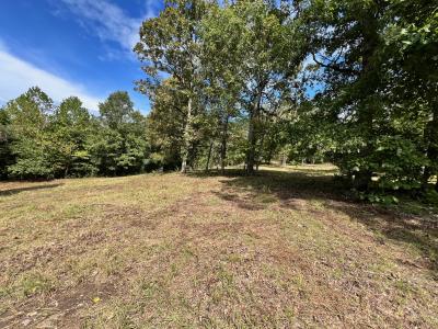 000 Rainbow Valley Trail, Mammoth Spring, Missouri 72554, États-Unis