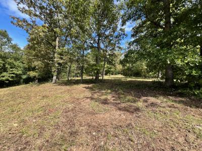 000 Rainbow Valley Trail, Mammoth Spring, Missouri 72554, États-Unis