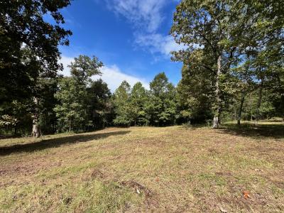 000 Rainbow Valley Trail, Mammoth Spring, Missouri 72554, États-Unis