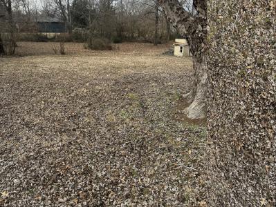 2523 Shady Lane, Poplar Bluff, Missouri 63901, Amerika Birleşik Devletleri