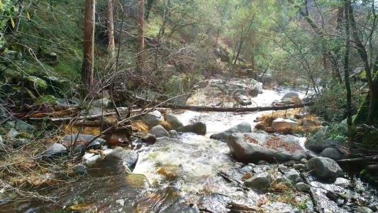 2116 Hwy 49 S., Mariposa, California 95338, USA