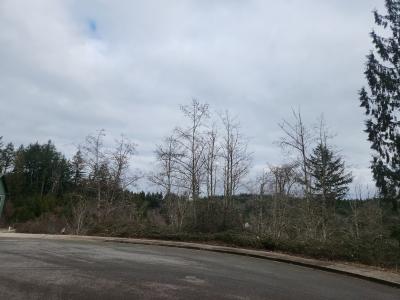 1700 Maple Valley Dr, Centralia, 华盛顿州 98531, 美国