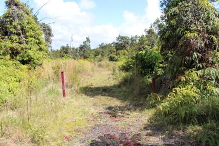 Lot 53-B-534, 11-3944 Nahelenani St (89), Volcano, Hawaii 96785, États-Unis