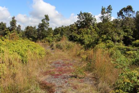 Lot 53-B-534, 11-3944 Nahelenani St (89), Volcano, Hawaii 96785, États-Unis