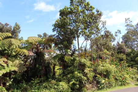 Lot 53-B-534, 11-3944 Nahelenani St (89), Volcano, Hawaii 96785, États-Unis