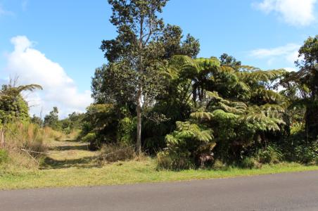 Lot 53-B-534, 11-3944 Nahelenani St (89), Volcano, Hawaii 96785, USA