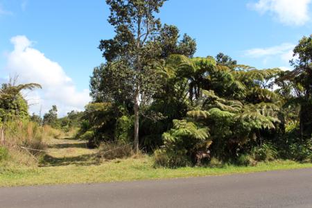 Lot 53-B-449, 11-3944 Nahelenani St, Volcano, Havaí 96785, Estados Unidos