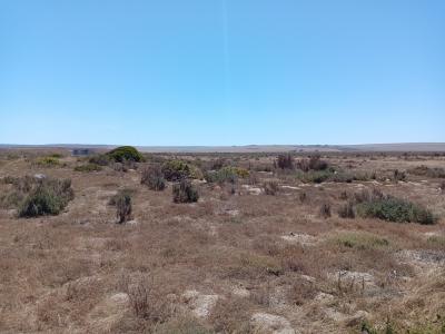 Saldanha, Western Cape, Afrique Du Sud