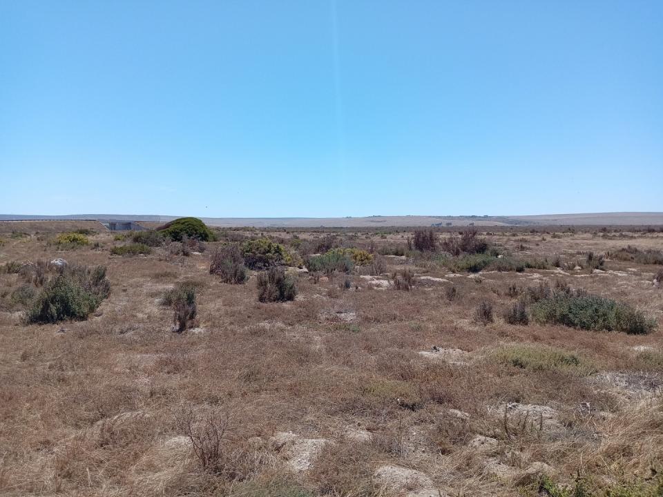 Saldanha, Western Cape, 南非