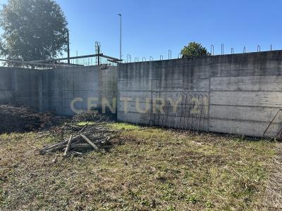 Via Toffanelle Nuove, Zevio, Veneto 37059, Italia